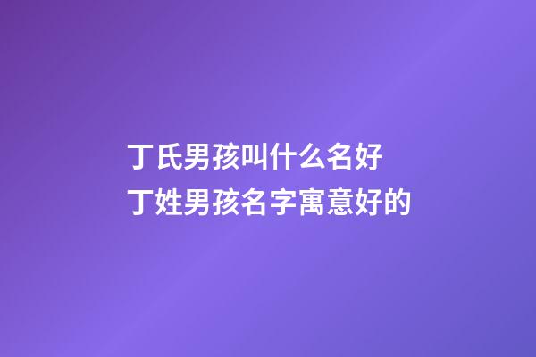 丁氏男孩叫什么名好 丁姓男孩名字寓意好的-第1張-公司起名-玄機(jī)派